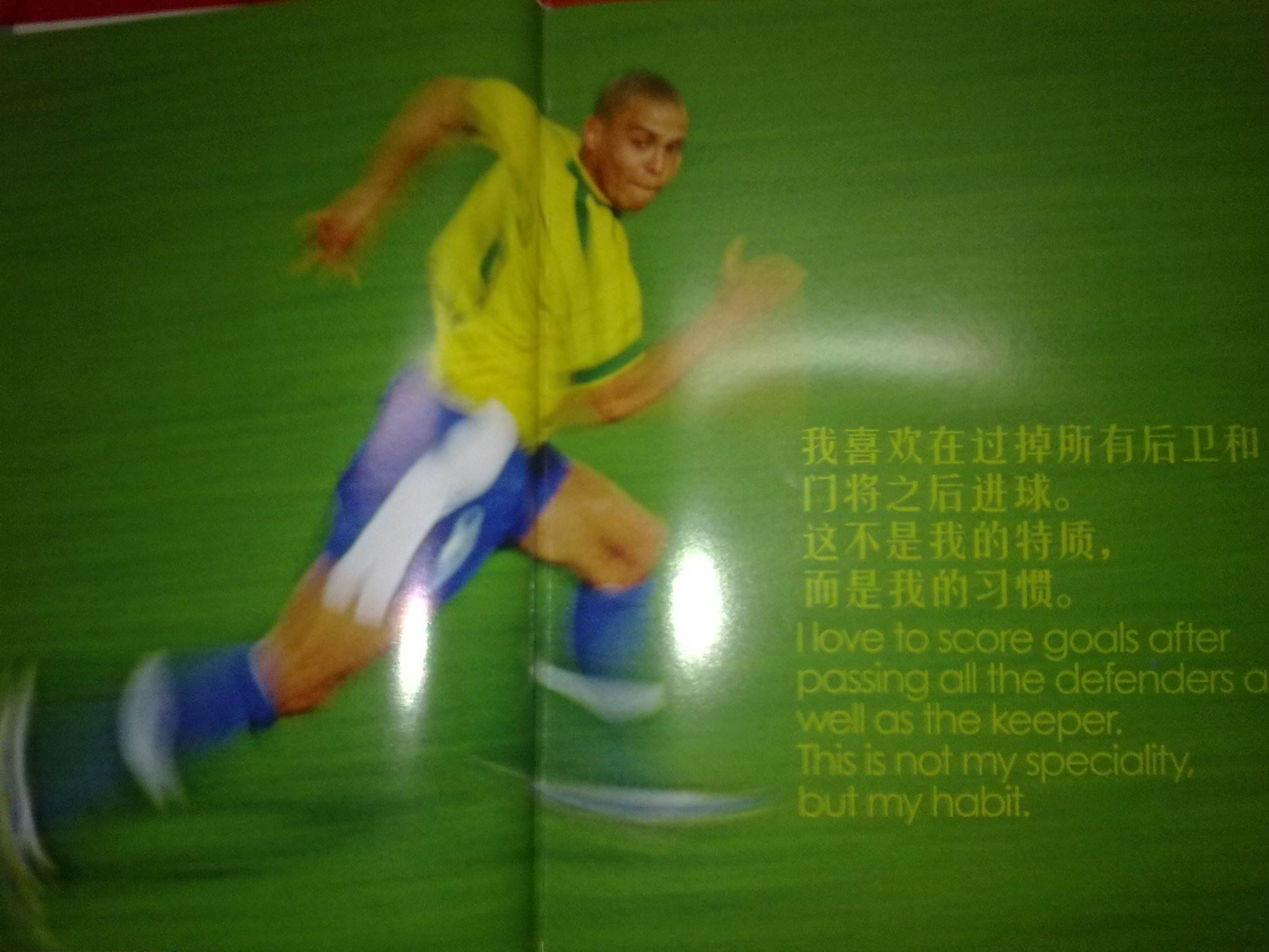 尔莫和维克 尔莫和维克