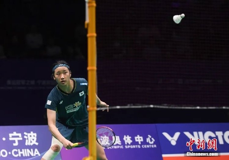 体育明星及 体育明星及