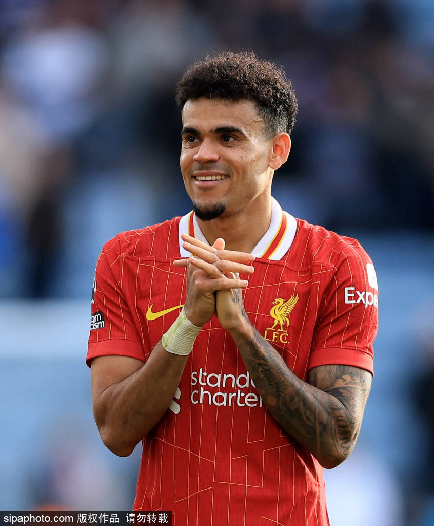 不仅是一个 不仅是一个